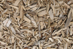 biomass boilers Wildridings
